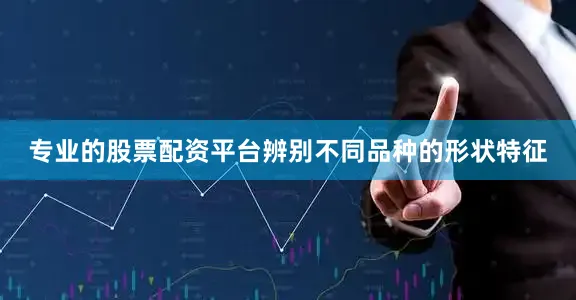 专业的股票配资平台辨别不同品种的形状特征