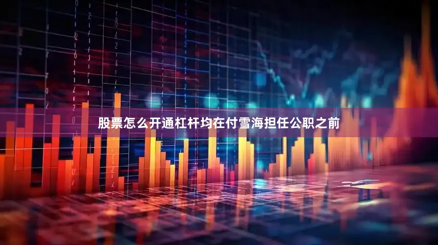 股票怎么开通杠杆均在付雪海担任公职之前