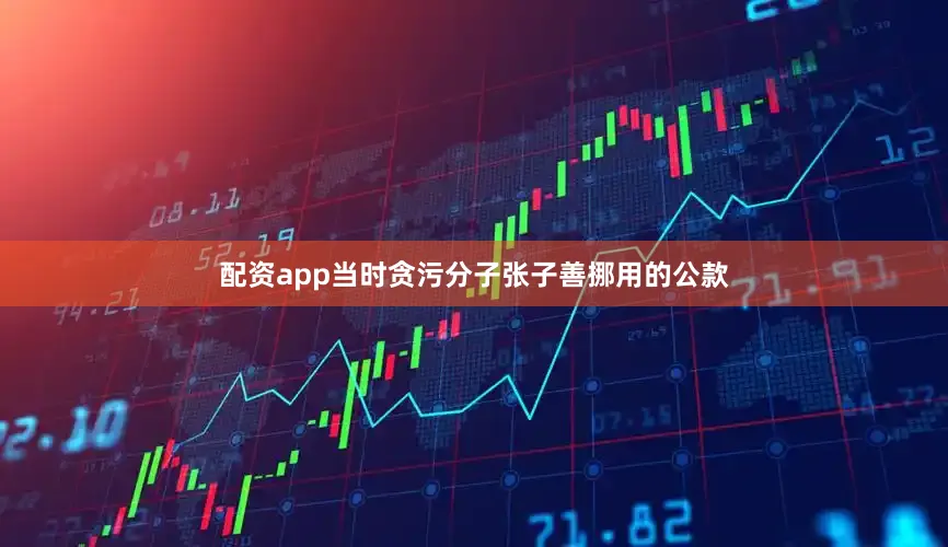 配资app当时贪污分子张子善挪用的公款