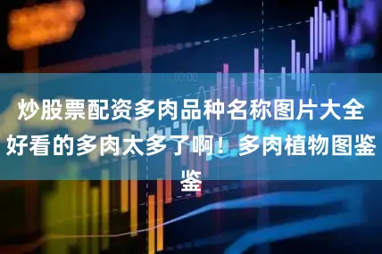 炒股票配资多肉品种名称图片大全好看的多肉太多了啊！多肉植物图鉴