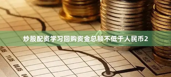 炒股配资学习回购资金总额不低于人民币2