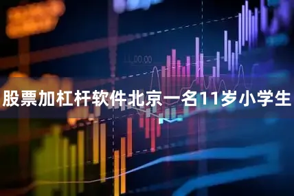 股票加杠杆软件北京一名11岁小学生