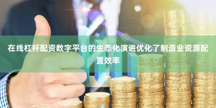 在线杠杆配资数字平台的生态化演进优化了制造业资源配置效率